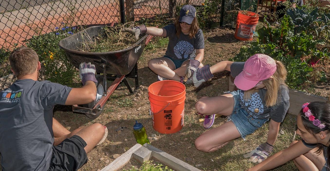 Students working in a community garden